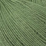 Fern green lanita ecological wool