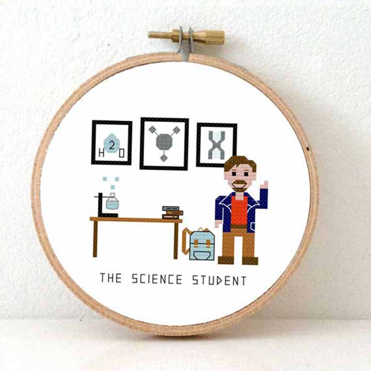 Stitchajob student bètawetenschappen man kruissteek patroon