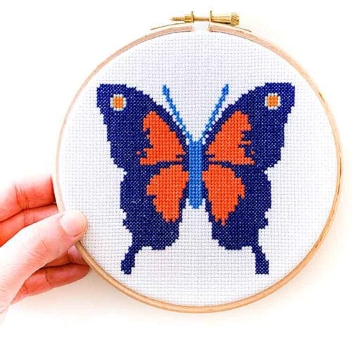 Rood blauw vlinder kruissteek pakket