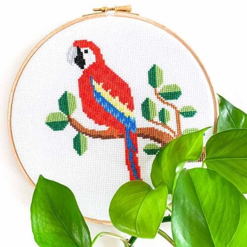 Papegaai kruissteek borduurpakket