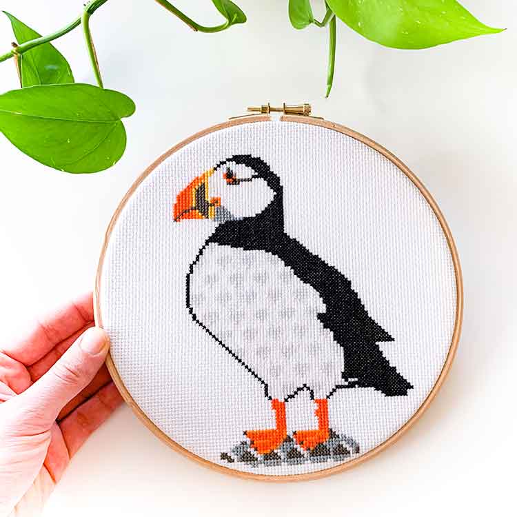 Papegaaiduiker kruissteek pakket voor beginners