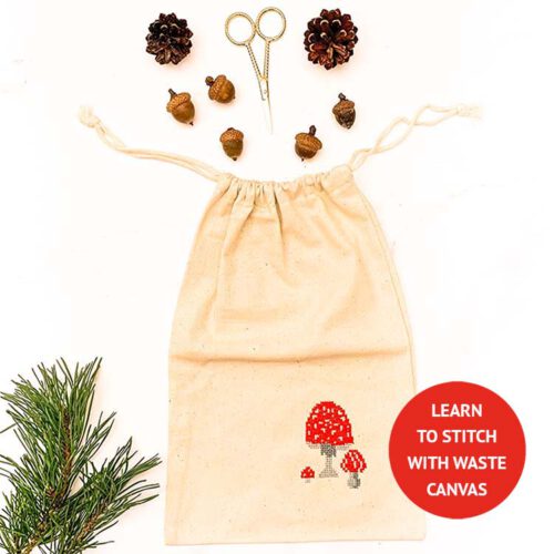 project bag cross stitch kit learn to stitch with waste canvas