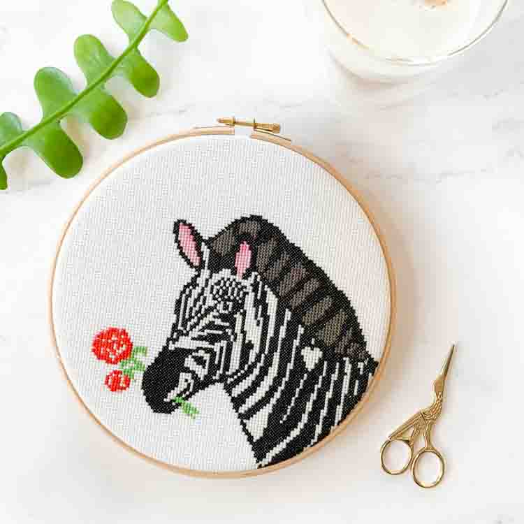 zebra cross stitch kit animals for beginners