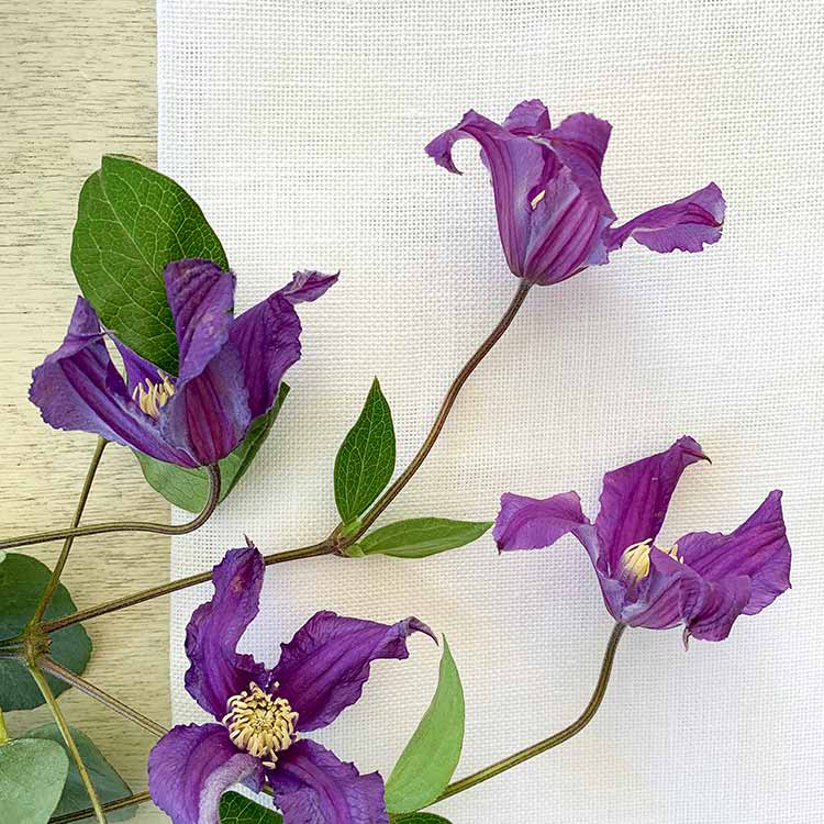 tafelkleed kruissteek borduurpakket linnen borduurstof