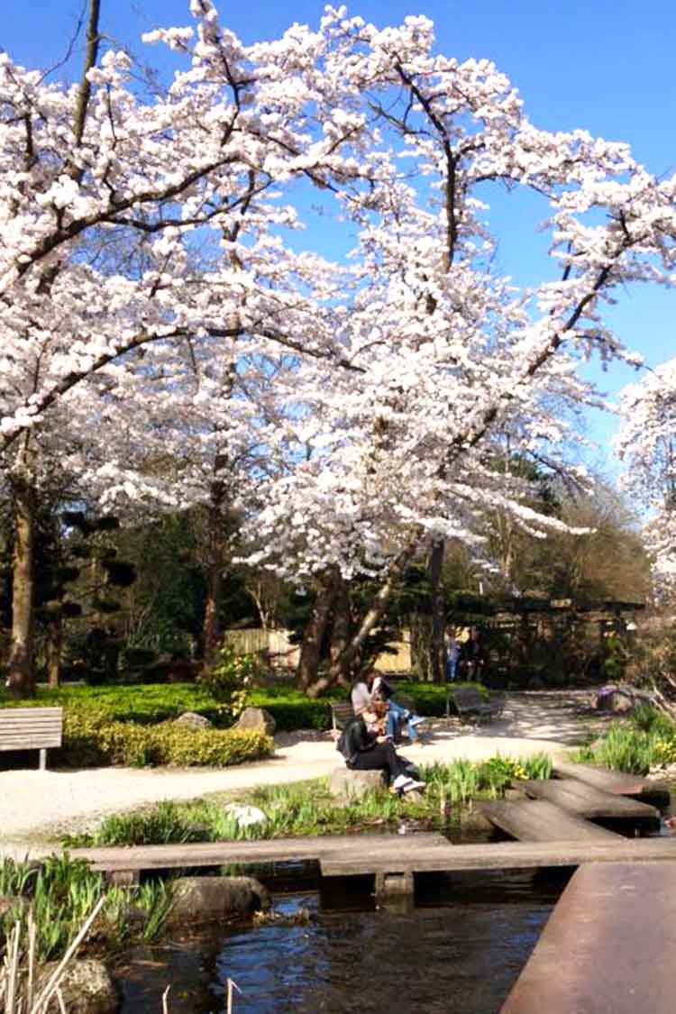 Kruissteek borduren in het Amstelpark in Amsterdam