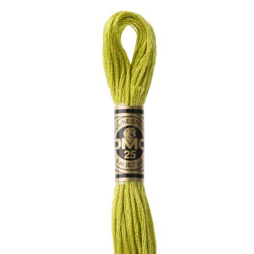 DMC 166 - Borduurgaren streng 8 m