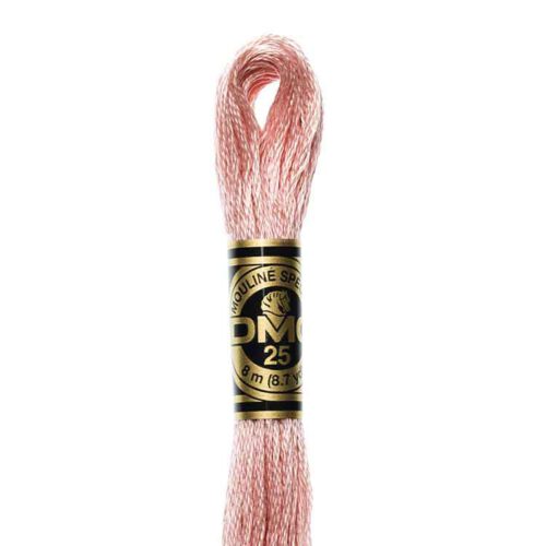 DMC 224 - Borduurgaren streng 8 m