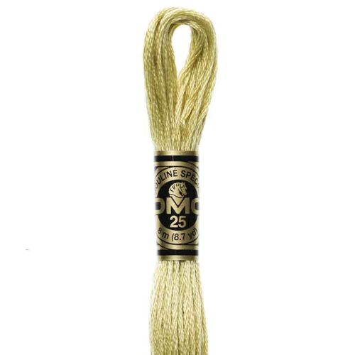 DMC 3046 - Borduurgaren streng 8 m