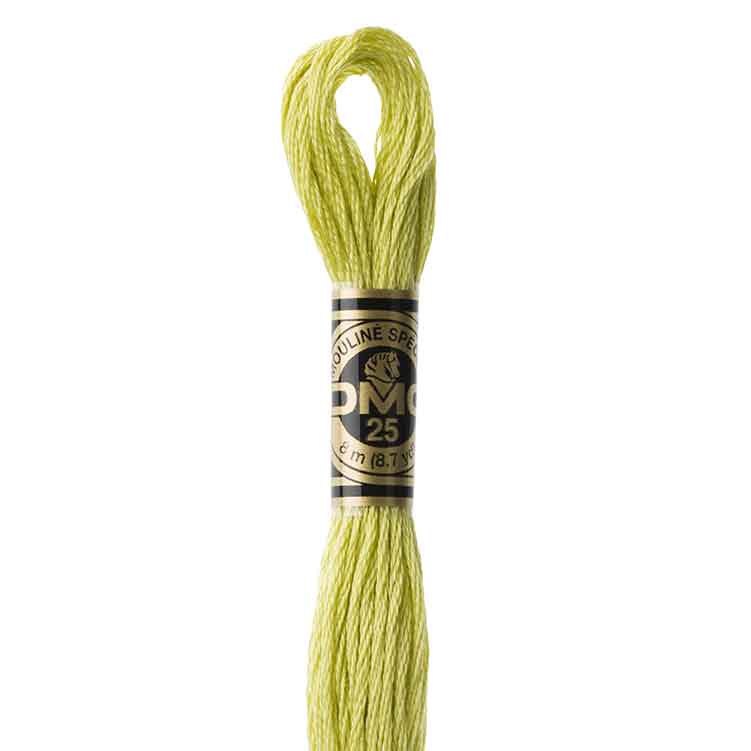 DMC 3819 - Borduurgaren streng 8 m