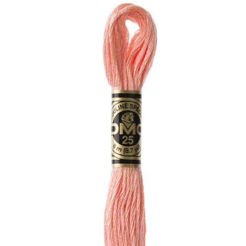 DMC 3824 - Borduurgaren streng 8 m