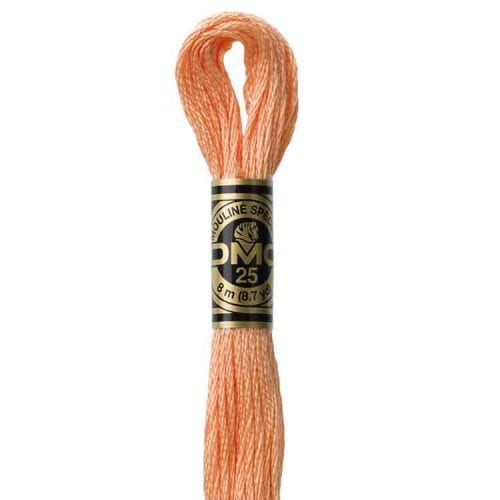 DMC 3825 - Borduurgaren streng 8 m