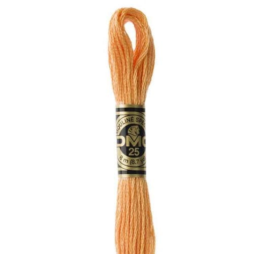 DMC 3854 - Borduurgaren streng 8 m