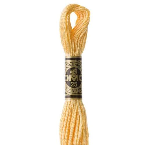 DMC 3855 - Borduurgaren streng 8 m