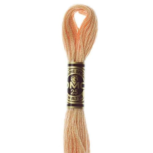 DMC 3856 - Borduurgaren streng 8 m