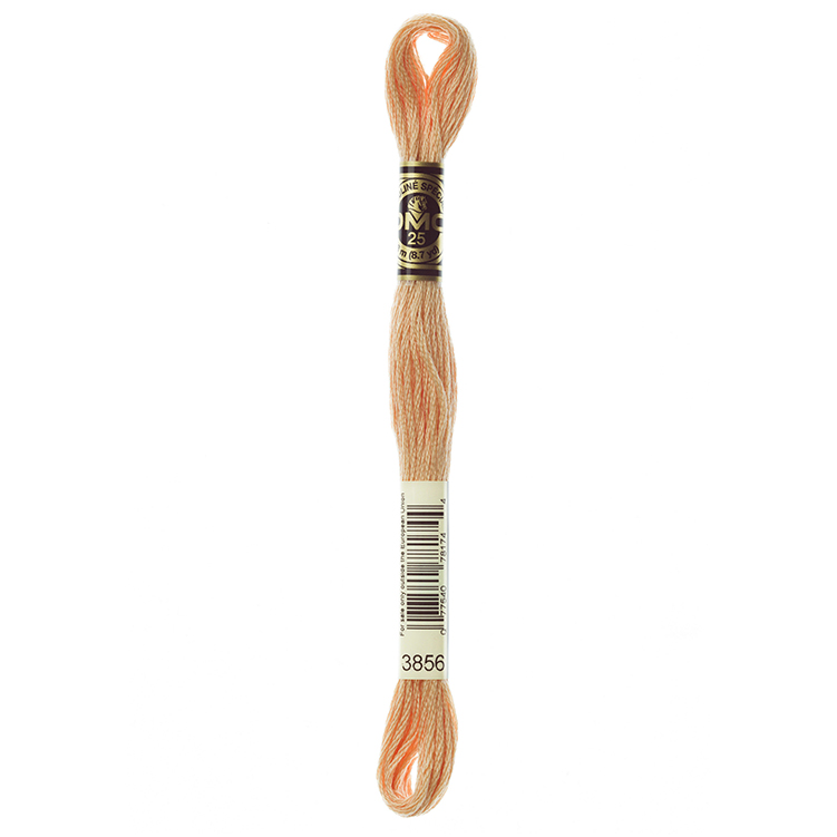 DMC 3856 - Borduurgaren streng 8 m