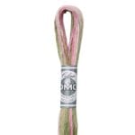 DMC 4500-  Embroidery Floss Skein 8m