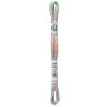 DMC 4501-  Embroidery Floss Skein 8m