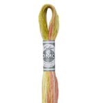 DMC 4508-  Embroidery Floss Skein 8m