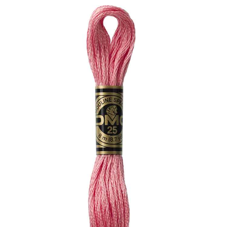 DMC 760 - Borduurgaren streng 8 m