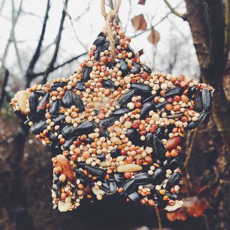 DIY birdseed ornament