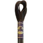 DMC 4000 espresso color variations embroidery floss