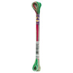 DMC 4042 verry merry christmas embroidery floss
