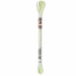 DMC Color Variations Embroidery floss skeins | Multi-colored embroidery yarn per skein of 8m - DMC 4060 Weeping Willow