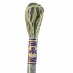 DMC Color Variations Embroidery floss skeins | Multi-colored embroidery yarn per skein of 8m - DMC 4065 Morning Meadow