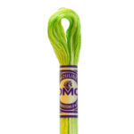 DMC 4069 margarit color variations variagated embroidery floss