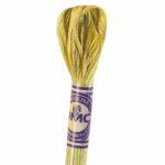 DMC Color Variations Embroidery floss skeins | Multi-colored embroidery yarn per skein of 8m - DMC 4070 Autumn Leaves