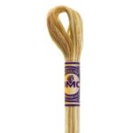 dmc 4072 toasted almond color variations embroidery floss