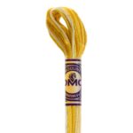 DMC 4073 buttercup muticolor DMC floss color variations