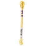 DMC Color Variations Embroidery floss skeins | Multi-colored embroidery yarn per skein of 8m - DMC 4080 Daffodil Fields