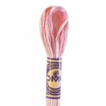 DMC Color Variations Embroidery floss skeins | Multi-colored embroidery yarn per skein of 8m - DMC 4110 Sunrise