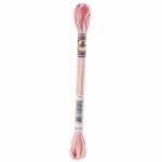 DMC Color Variations Embroidery floss skeins | Multi-colored embroidery yarn per skein of 8m - DMC 4110 Sunrise