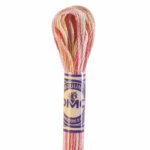 DMC Color Variations Embroidery floss skeins | Multi-colored embroidery yarn per skein of 8m - DMC 4120 Tropical Sunset