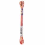 DMC Color Variations Embroidery floss skeins | Multi-colored embroidery yarn per skein of 8m - DMC 4120 Tropical Sunset