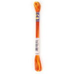 dmc 4122 fall harvest variagated embroidery floss