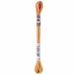 DMC Color Variations Embroidery floss skeins | Multi-colored embroidery yarn per skein of 8m - DMC 4126 Desert Canyon