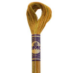 DMC 4129 color variations embroidery floss peanut brittle