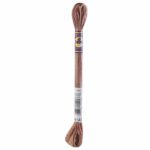 DMC Color Variations Embroidery floss skeins | Multi-colored embroidery yarn per skein of 8m - DMC 4140 Driftwood