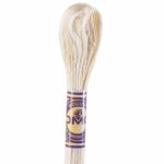 DMC Color Variations Embroidery floss skeins | Multi-colored embroidery yarn per skein of 8m - DMC 4150 Desert Sand