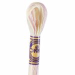 DMC Color Variations Embroidery floss skeins | Multi-colored embroidery yarn per skein of 8m - DMC 4160 Glistening Pearls