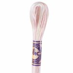 DMC Color Variations Embroidery floss skeins | Multi-colored embroidery yarn per skein of 8m - DMC 4170 Whispering Wind