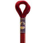 DMC 4205 caliente embroidery floss color variations