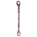 DMC 4260 color variations Enchanted multicolour embroidery thread