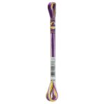 DMC 4265 Color variations Purple Pansy embroidery floss multicoclor