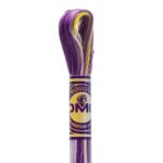 DMC 4265 Color variations Purple Pansy embroidery floss multicoclor