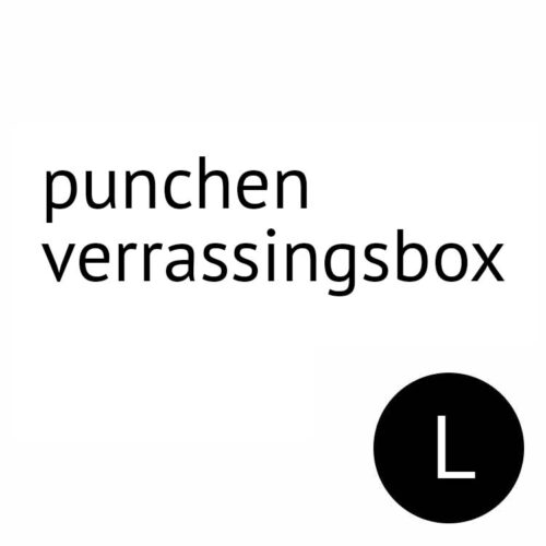 punchen verrassingsbox l